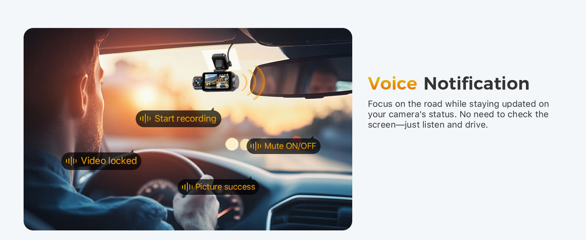 Voice Notification